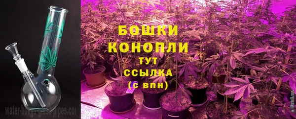 соль ск Абаза