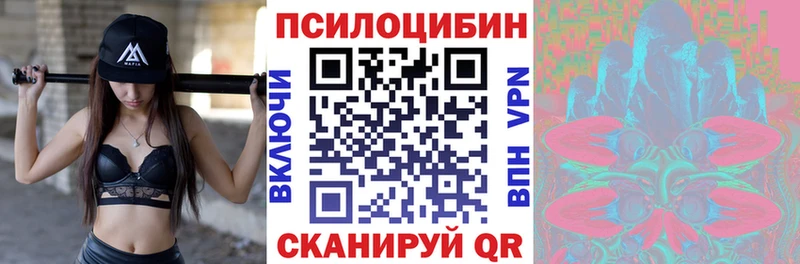 OMG   Новоаннинский  Псилоцибиновые грибы Cubensis  где купить наркотик 